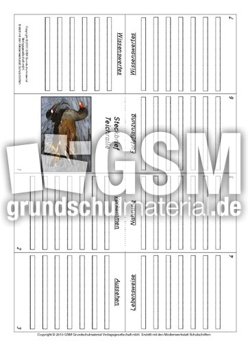 Faltbuch-Teichralle.pdf
